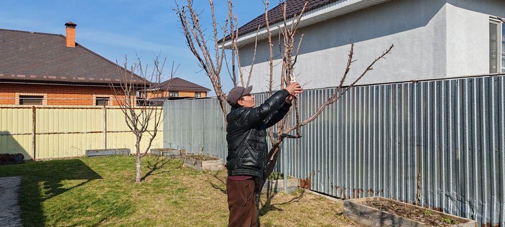 Садовник профессионал