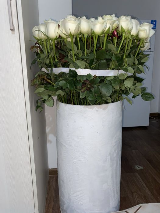 Белые розы ә әріпі жазылған ішінде