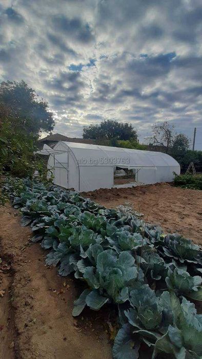 Полиетиленови Оранжерии Профицинк - 4м. ширина (оранжерия тип ”Хоби”)