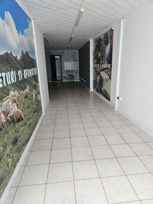 Spatiu de inchiriat pe Petre Ispirescu