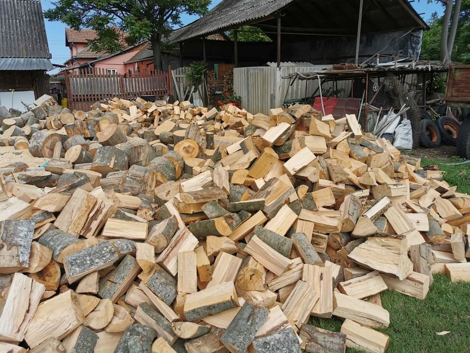 Servicii rapide de încredere