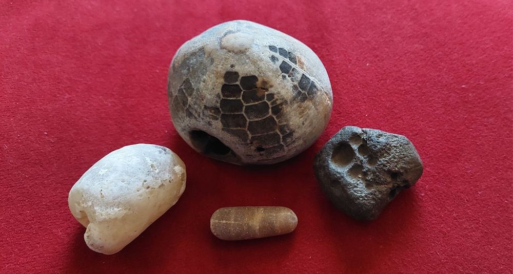 Метеорит и окаменелости