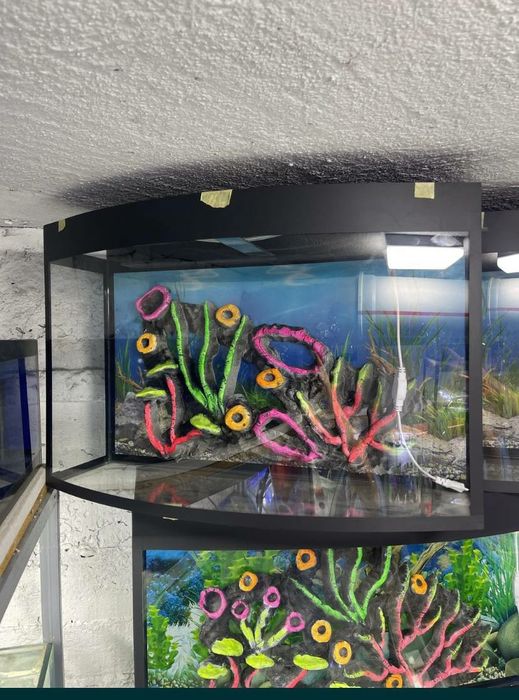 Akvarium 20Litr 30 Litr 50 litr Yengi