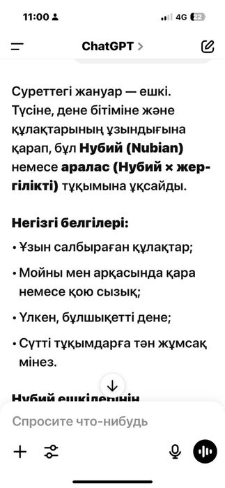 Ешкі козел город алматы