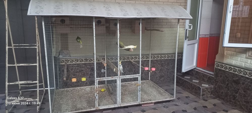 вальер с птитцами 2 пари карелла