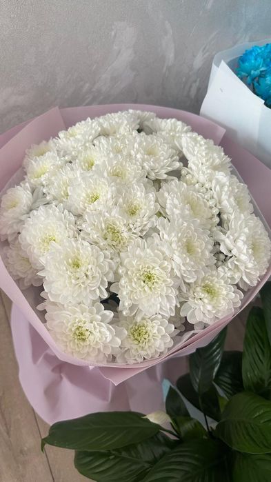 Свежый гүлдер бар