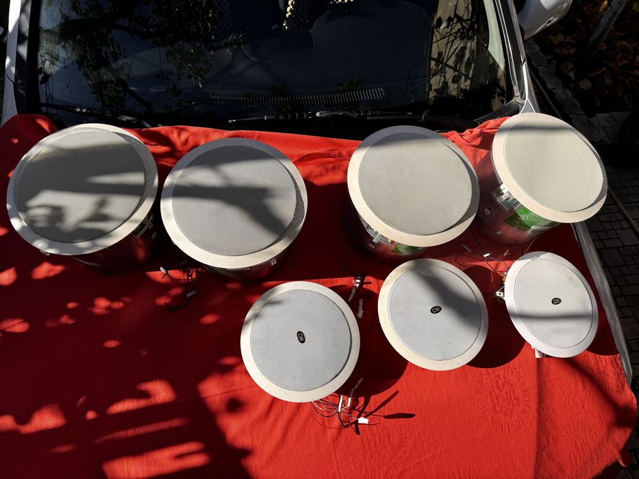 set de boxe profesionale de tavan (in-ceiling)