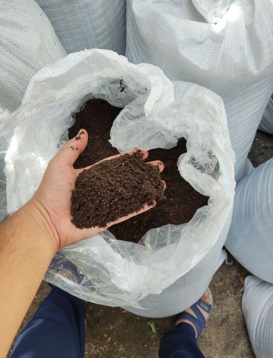 Biogomus va qizil kalifõrniya chuvalchanglari