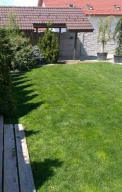 Gazon Rulou, Sisteme de irigare Plante Ornamentale