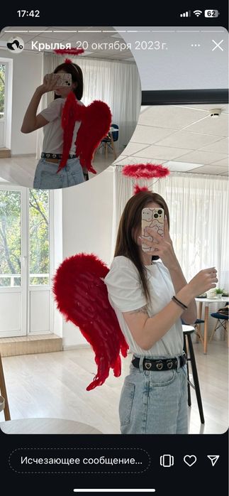 Крылья  ангела три цвета 2 размера