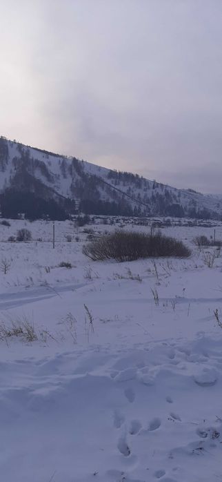 Земельный участок