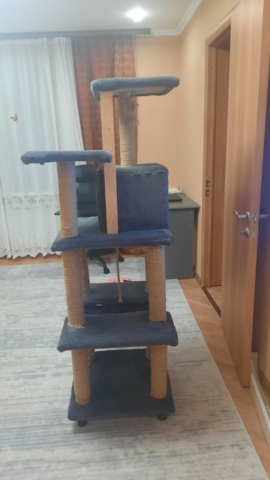 Когтеточка дом для животных