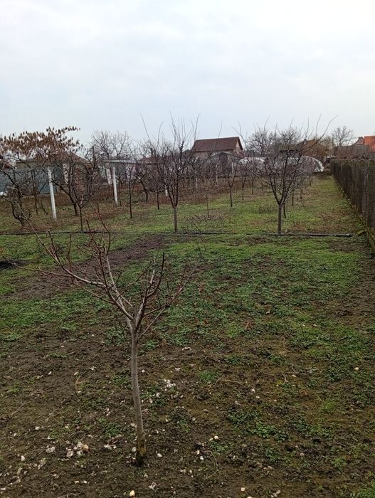 Vând casă în orașul Curtici