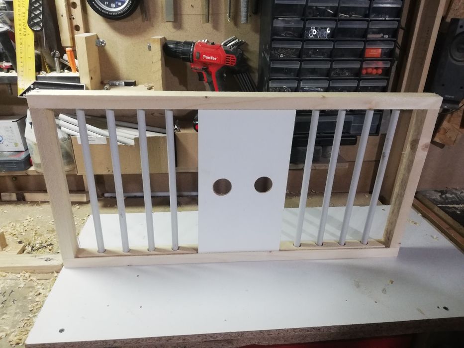 Fete porumbei de boxe