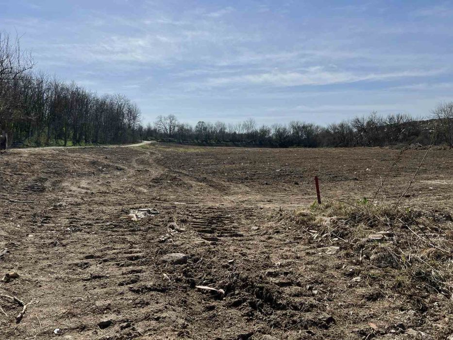 Продава се Парцел в Първомай - 10000 кв.м за 4 €/кв.м - Снимка #1