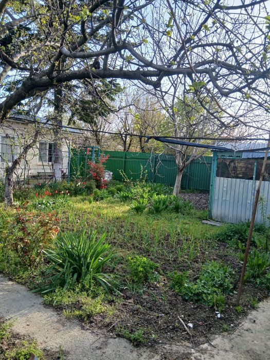 Vand casa in Turnu Magurele