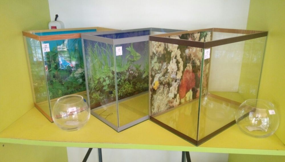 Аквариум на 15 литров