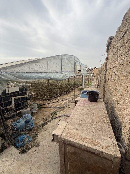 Yer sotiladi 8 sotix Zangiota