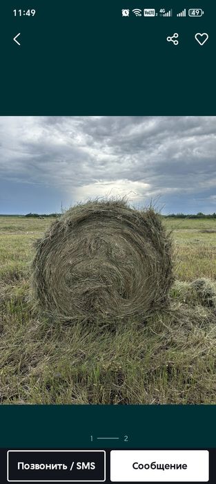 Сено в рулонах и в тюках