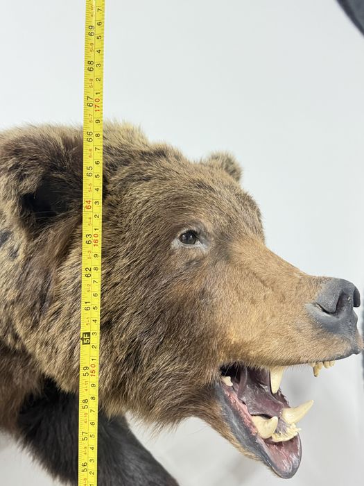 Чучело медведя в идеале