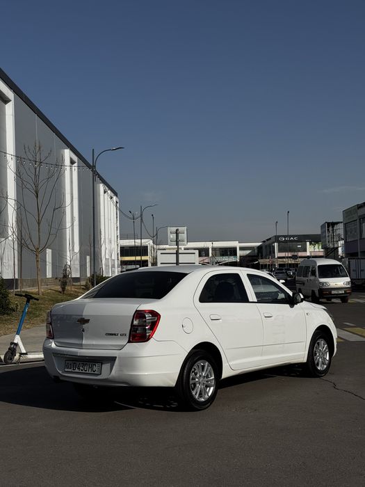 Cobalt Ltz yilli 2023