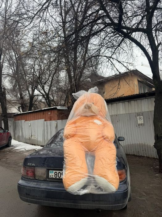 большой плюшевый мишка