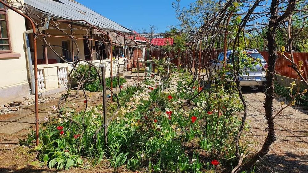 Vând casă în localitatea Giubega, județul Dolj