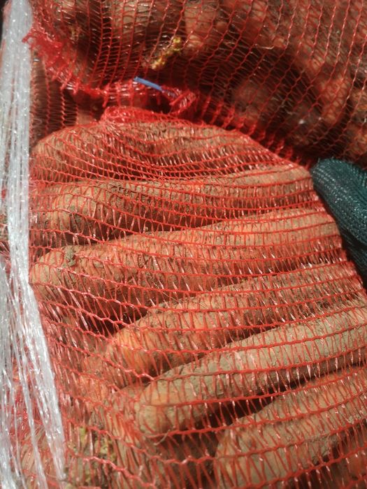 De vanzare! Mere, cartofi, ceapa galbena, ceapa rosie, varza