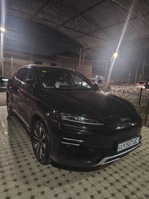 BVD чимпион SMART