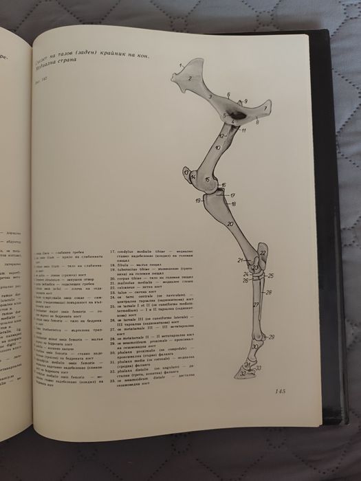 Атлас по топографска анатомия на селскостопанските животни Том 1,2 и 3