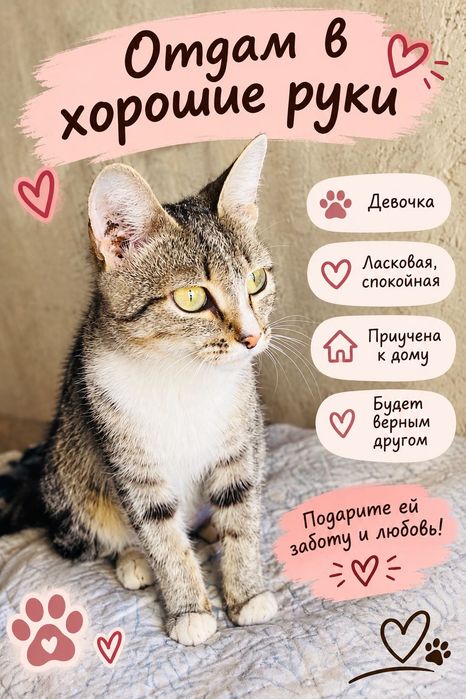 Отдам в хорошие руки