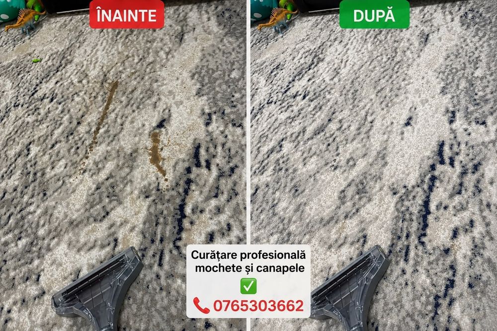 Curățare profesionala , mochete și canapele,servici curetenie