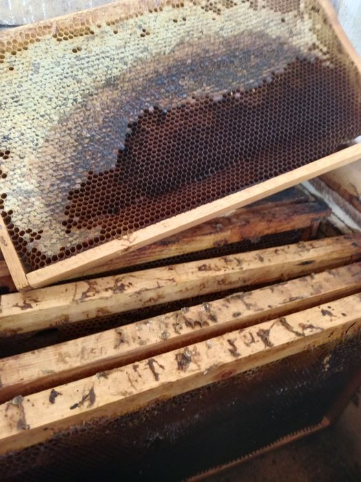 Рамки вошиной для пчел