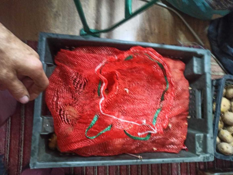 Картофель семенной и едовой. Дачный.