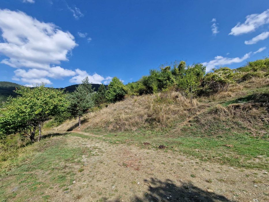 Продава се Парцел в с. Борово, Област Пловдив - 1500 кв.м за 31 €/кв.м - Снимка #12