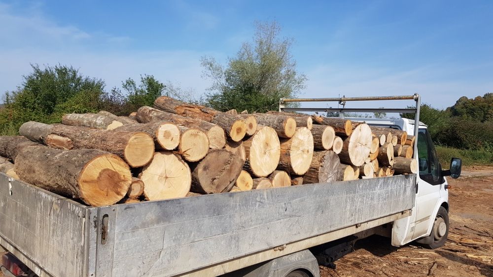 Lemn de foc esența tare fag