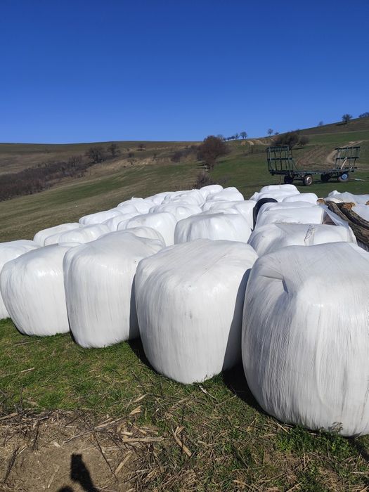 Baloti luțernă 120 pe 120