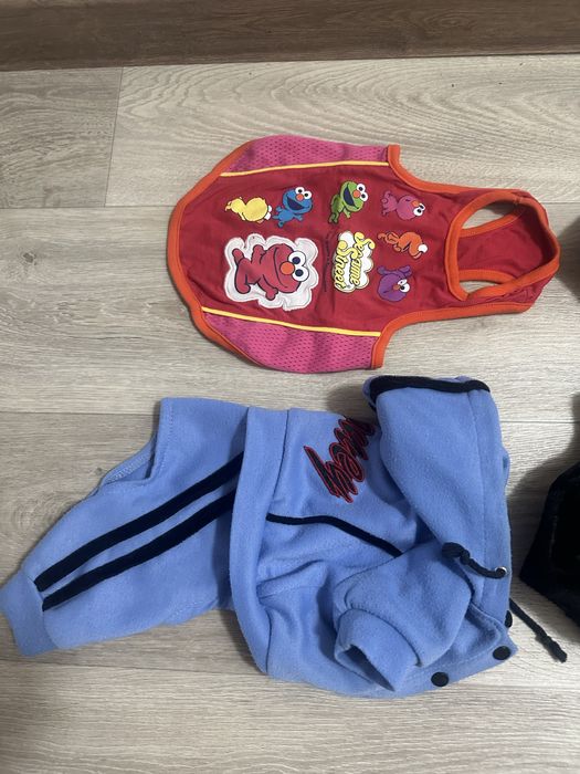 Одежда для собак