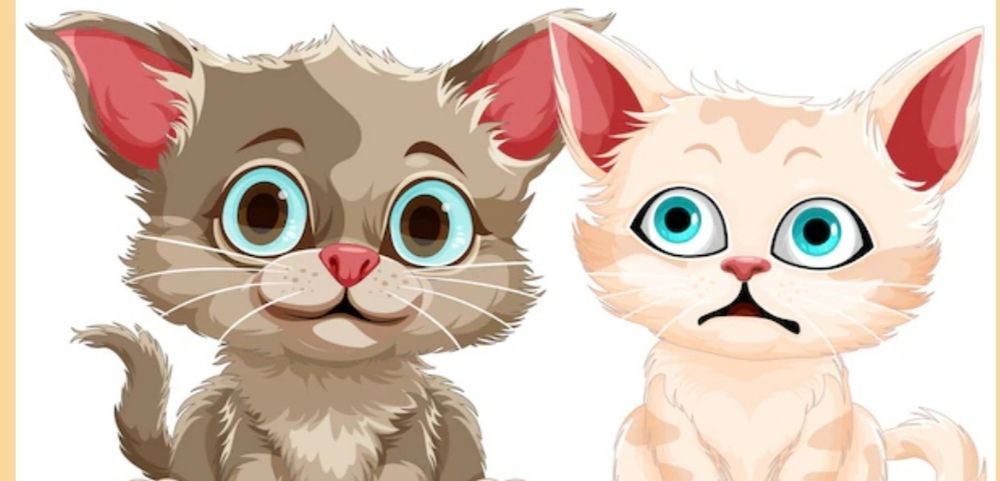 Отдам кошку и кота