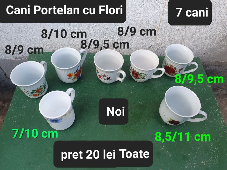 Cani portelan si sticla