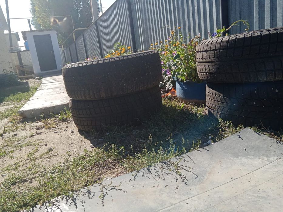 Продам лепучка зимние срочно