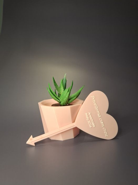 Mărturii botez personalizate – ghiveci cu suculentă + mesaj gravat