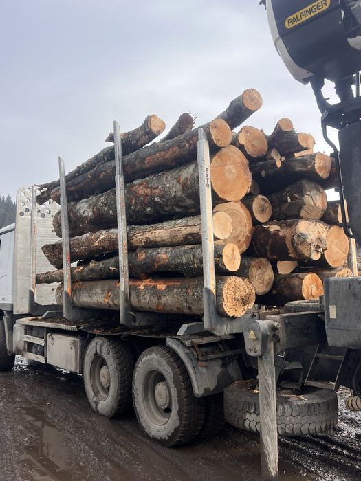 Lemn de foc fag/lemne de foc