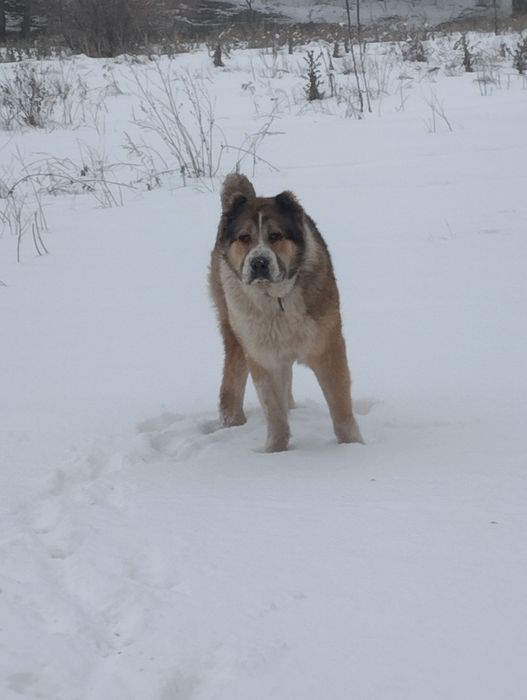 Открыт для вязок