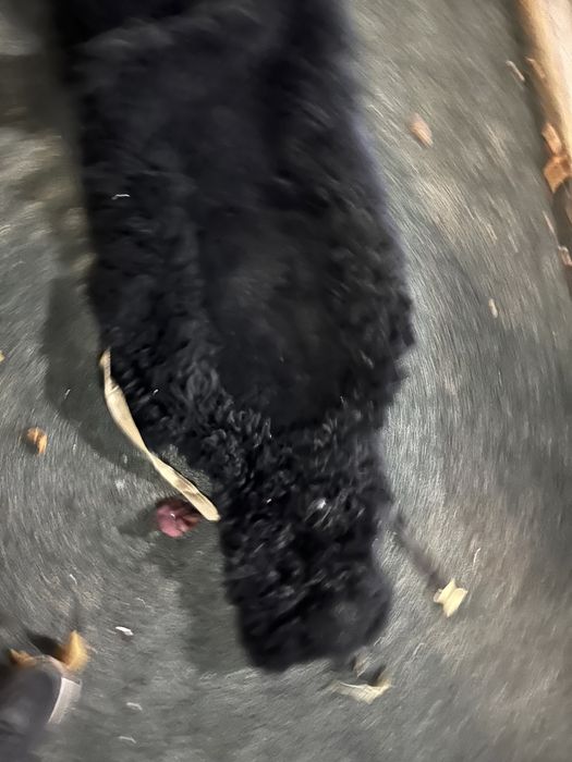 Накидки на сиденья авто зимний из шкур