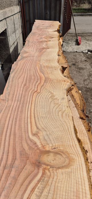 Янове от секвоя 3.30дължина СУХИ