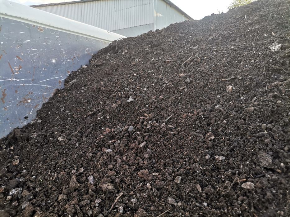 Продам пергной коровяк и конский