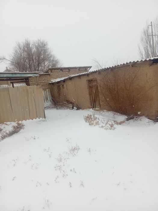 ТӨРТКҮЛ ауылында Уй сатылады.