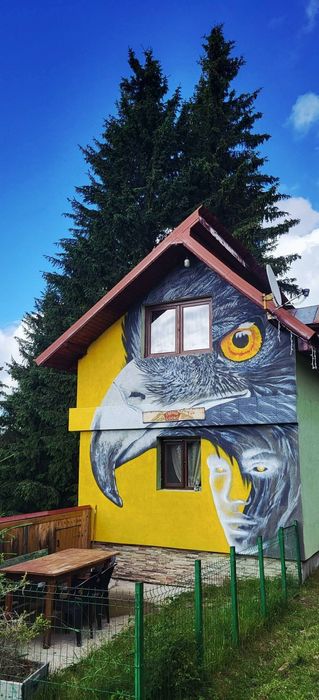 Casa de vacanta/cabana munte