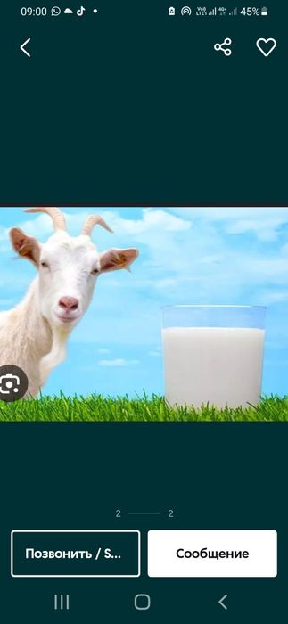 Ешки сути табиғи оним